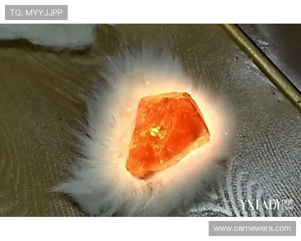 《生死劫》:一场关于爱与救赎的史诗,是否是你命中注定的追剧劫数? 《生死劫》:一场关于爱与救赎的史诗,是否是你命中注定的追剧劫数?