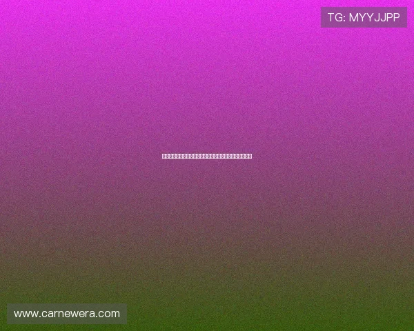 《平凡之路》：在琐碎日常中寻找闪光，治愈我们普通的心